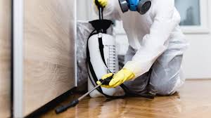 Best Emergency Pest Control  in Boston, MA